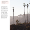 Travel Like a Designer: Los Angeles - Hollywood, Los Feliz, Silver Lake - Image 2